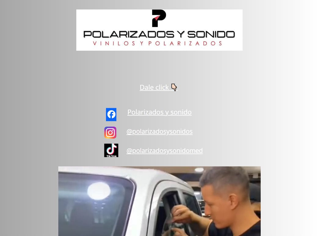 Página web actual de Polarizados y Sonido